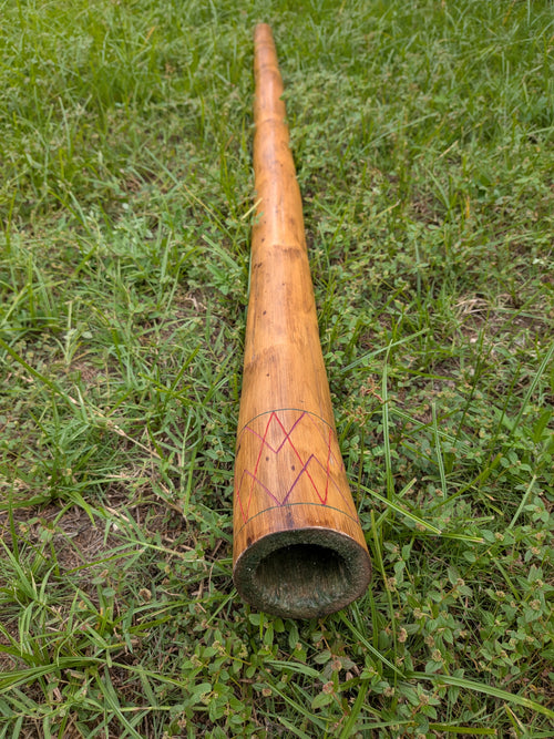Didgeridoo de Maguey